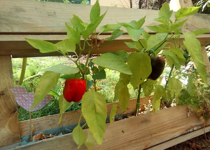 Hotel Markgraf Leipzig